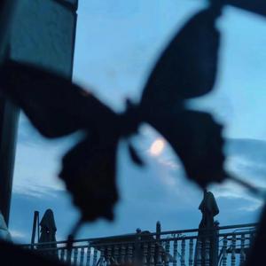 伽罗疯狂❌喷水自慰爽小说
