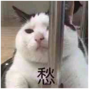 伽罗疯狂❌喷水自慰爽小说
